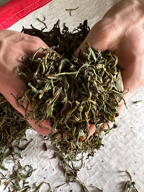 Teanium - zero waste tea production